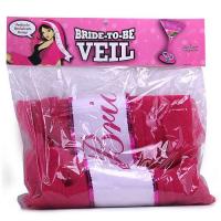 Bachelorette Party Pink Bride to Be Veil with White Sash